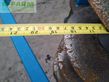 Cultivador - Rabe - profi bird 4000t