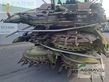 Cosechadora de Cereal - Claas - jaguar 940