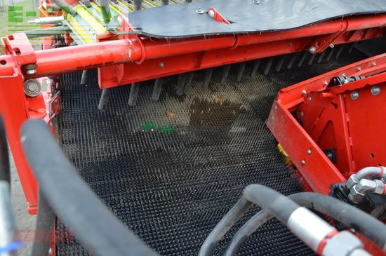 Cosechadora - arrancadora de patata - Grimme - evo 280 clodsep nonstop