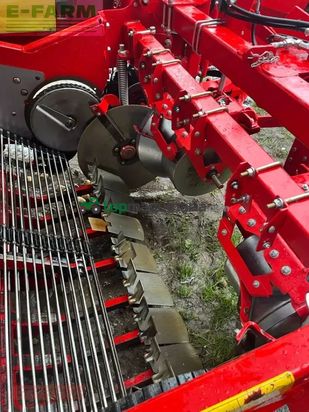 Cosechadora - arrancadora de patata - Grimme - evo 290 clodsep