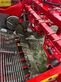 Cosechadora - arrancadora de patata - Grimme - evo 290 clodsep