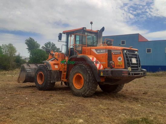 Palas cargadora DOOSAN DL300 L/AUX