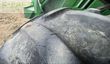 Tractor agrícola - John Deere - 6110m