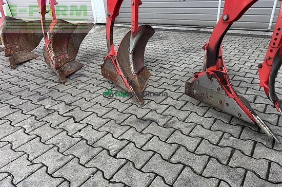 Arado - Maschio - unico l5 +vario nsh
