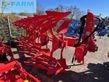 Arado - Maschio - unico m passo 4+1 d95