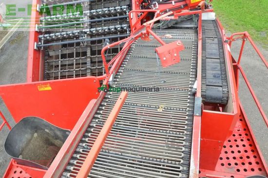 Cosechadora - arrancadora de patata - Grimme - evo 290 clodsep