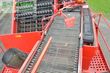 Cosechadora - arrancadora de patata - Grimme - evo 290 clodsep