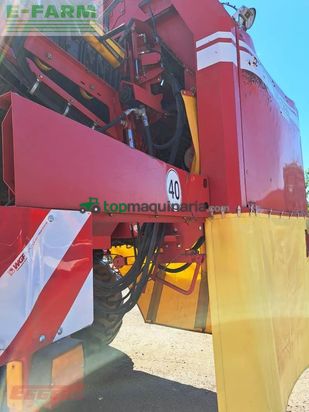 Cosechadora - arrancadora de patata - Grimme - se 260 ub
