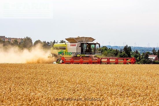 Cosechadora de Cereal - Claas - lexion 780 tt *allrad* + v1230