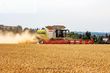 Cosechadora de Cereal - Claas - lexion 780 tt *allrad* + v1230