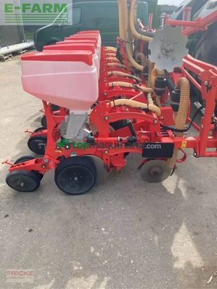 Sembradora monograno mecanica - Maschio - manta 8-reihig