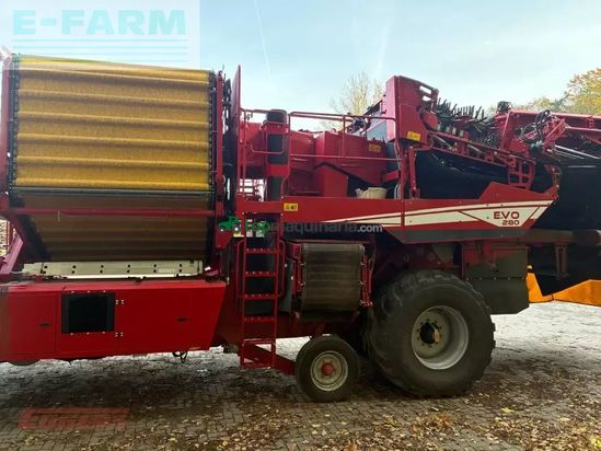 Cosechadora - arrancadora de patata - Grimme - evo 280 clodsep gen ii