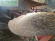 Arado - Naud - apn 6623