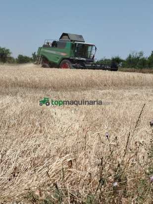 Cosechadora de Cereal - Fendt - 5255L