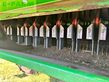 Cosechadora de Cereal - John Deere - s780i raupe, prodrive