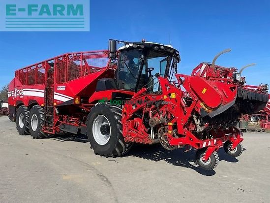 Cosechadora de Cereal - Grimme - rexor 6300 platinum