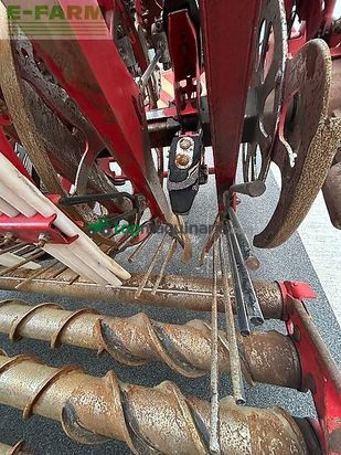 Cosechadora de Cereal - Grimme - rexor 6300 platinum