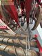 Cosechadora de Cereal - Grimme - rexor 6300 platinum