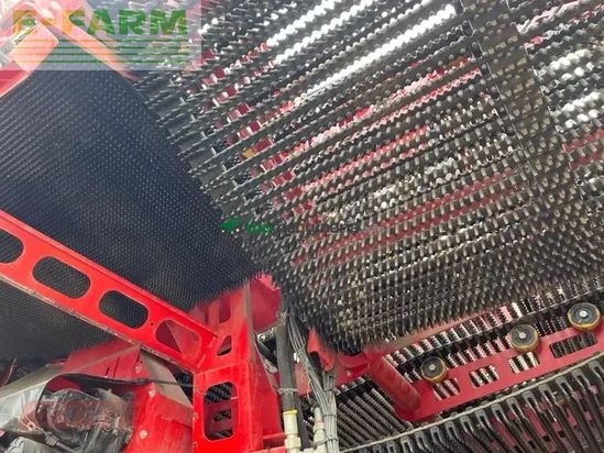 Cosechadora - arrancadora de patata - Grimme - evo 280 clodsep