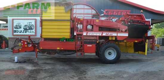 Cosechadora - arrancadora de patata - Grimme - se 260 ub