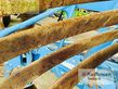 Arado - Lemken - juwel 8 v5n100