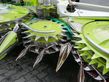 Cabezal - Claas - orbis 750 ac