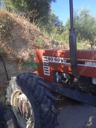 Tractor agrícola - Fiat / Fiatagri - 80-66 DT