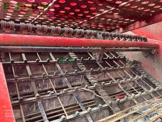 Cosechadora - arrancadora de patata - Grimme - evo 260 ub nonstop