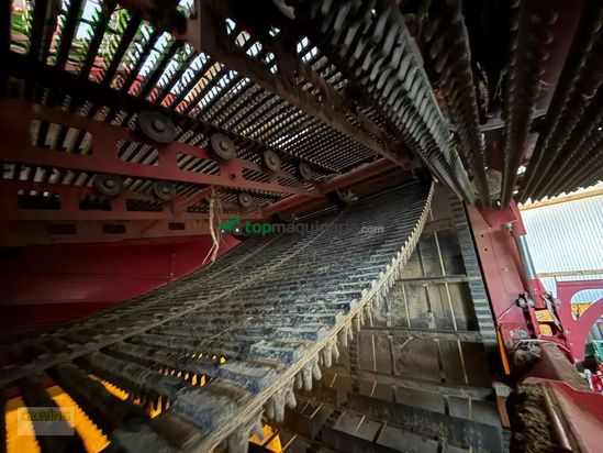 Cosechadora - arrancadora de patata - Grimme - evo 280