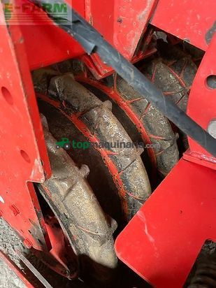 Sembradora - Gaspardo - maschio gaspardo