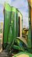 Cortacésped manual - Krone - easycut b1000 cv collect