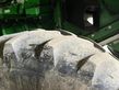 Cosechadora de Cereal - John Deere - s685 i