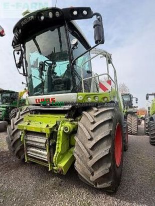 Cosechadora de Cereal - Claas - jaguar 990 t4/e5