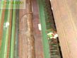 Empacadora gigant - Krone - vario pack 1800 mc