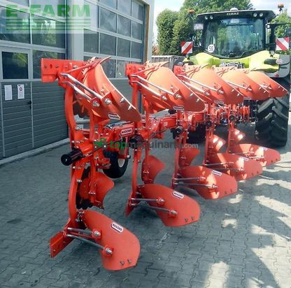 Arado - Maschio - unico l5 +vario nsh