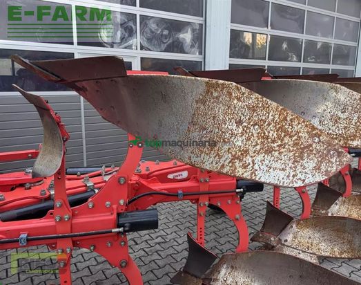 Arado - Maschio - unico l5 +vario nsh