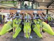 Cabezal - Claas - rovio 4.875 fc