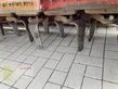 Combinado de siembra - Lemken - eurodrill 300 - 25 reihen