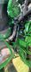 Cosechadora de Cereal - John Deere - 8500