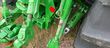 Tractor agrícola - John Deere - 8R 370