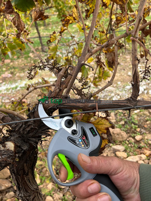 TIJERA DE PODA AGROTOOLS PHOENIX 1200 W