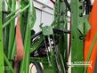 Atomizador - Amazone - uf 2002 | unfallschaden