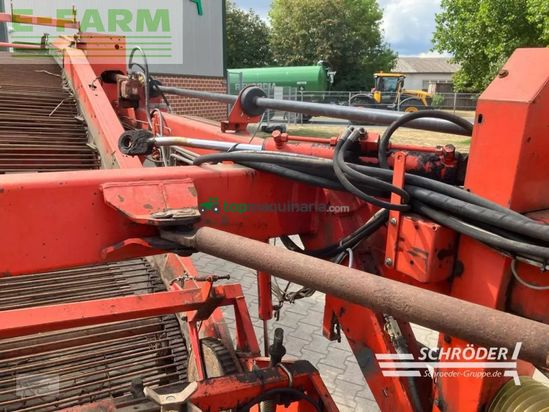 Cosechadora - arrancadora de patata - Grimme - gz 1700