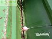 Combinado de siembra - Amazone - ad 302 / kg 302