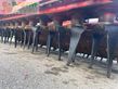 Grada rotativa - Vicon - herse rotative tt1830 vicon