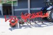 Cultivador - Ziegler - fieldprofi 3003 mulchgrubber - grubber