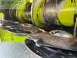 Cabezal - Claas - direct disc 600