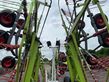 Henificador - Claas - liner 3600
