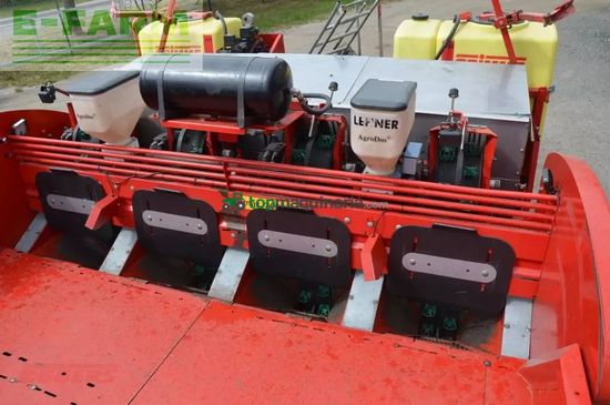 Cosechadora - arrancadora de patata - Grimme - gl 430