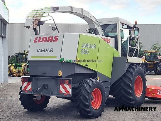 Cosechadora de Cereal - Claas - jaguar 830 profistar